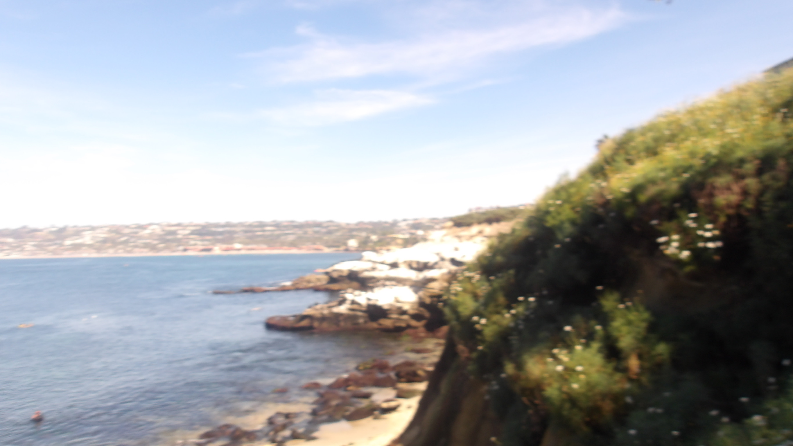 CALIFORNIA SPRING 26 photo